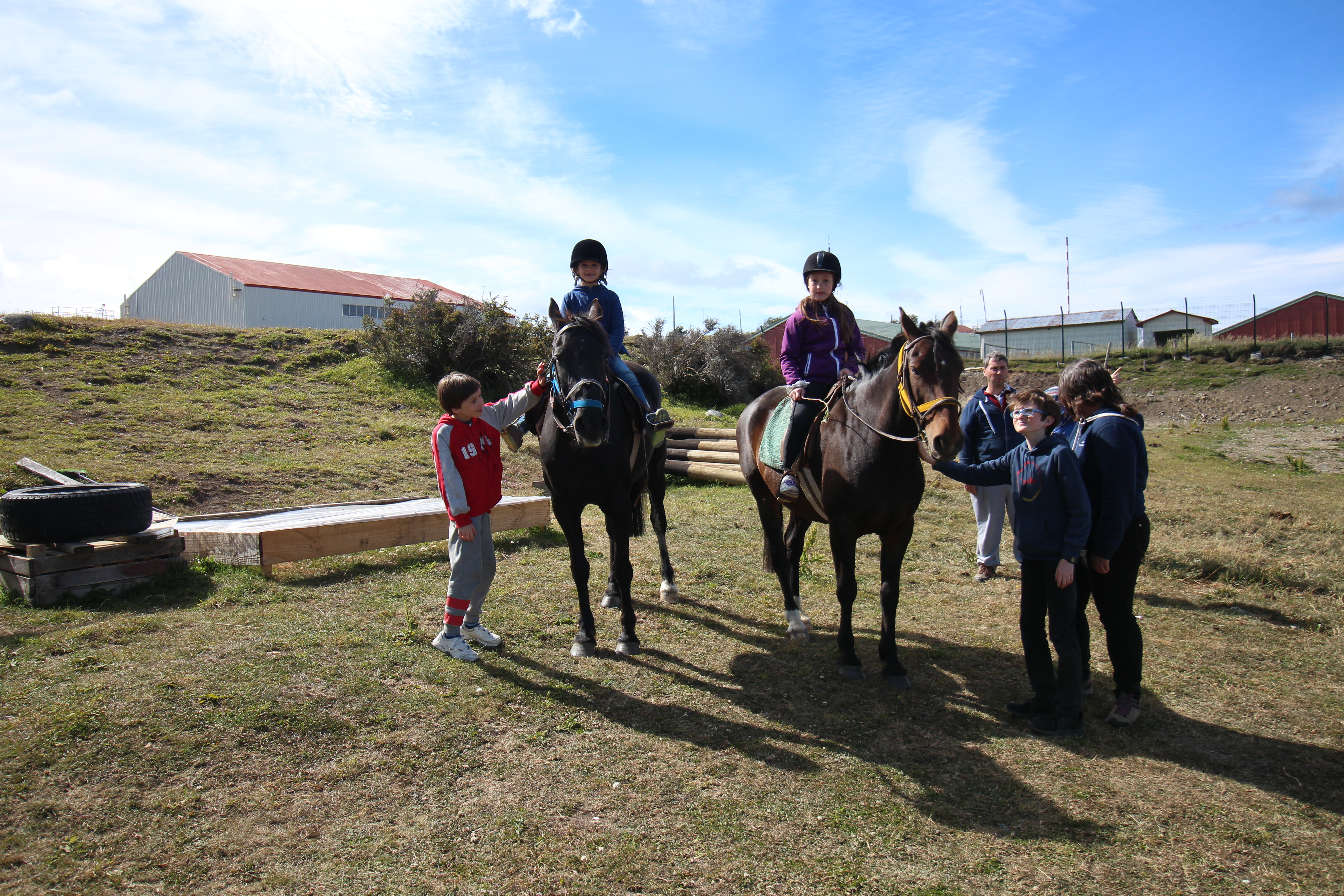 La pasión del Centro Ecuestre Aires por la equinoterapia y su fiel vínculo con los caballos