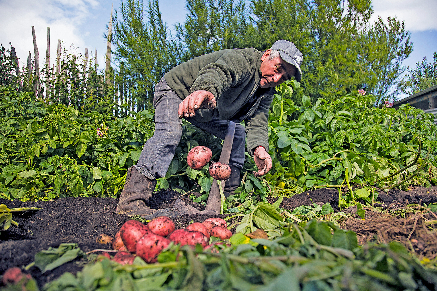 INDAP y Consejo Campesino reconocen a cuatro agricultores por su esfuerzo e innovación en tiempos de crisis